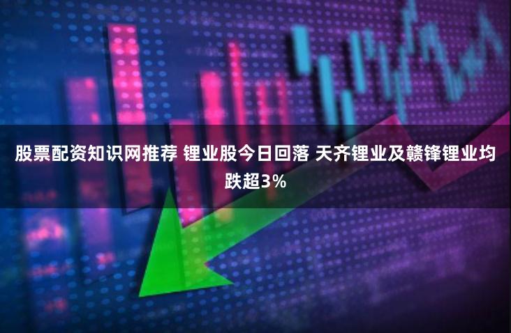 股票配资知识网推荐 锂业股今日回落 天齐锂业及赣锋锂业均跌超3%