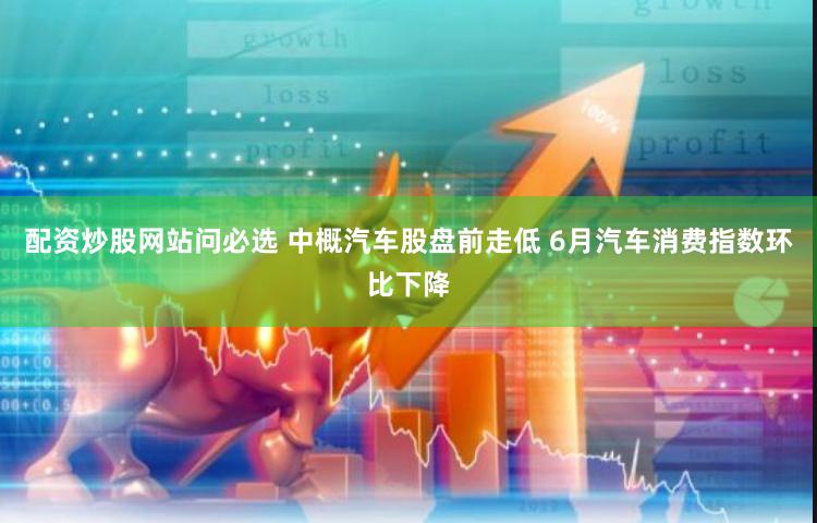 配资炒股网站问必选 中概汽车股盘前走低 6月汽车消费指数环比下降