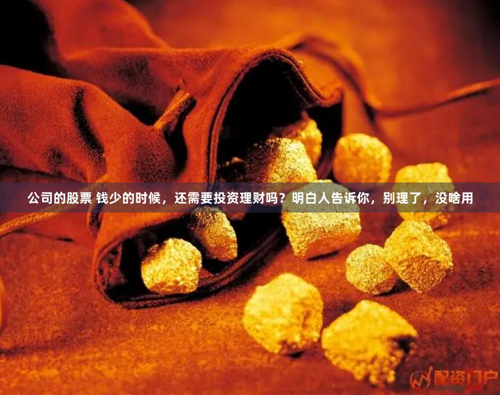 公司的股票 钱少的时候，还需要投资理财吗？明白人告诉你，别理了，没啥用