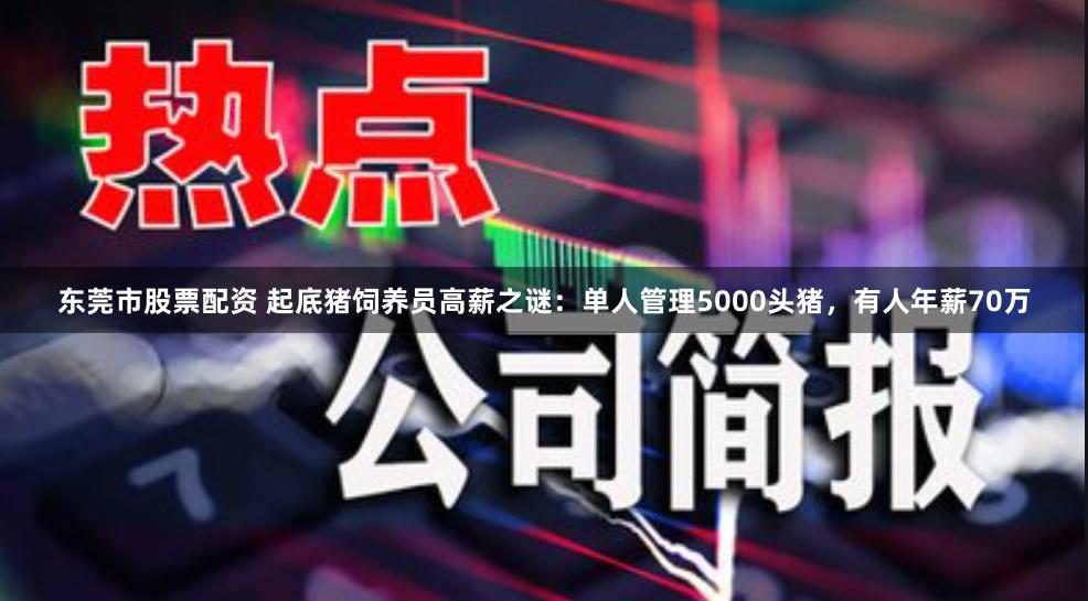 东莞市股票配资 起底猪饲养员高薪之谜：单人管理5000头猪，有人年薪70万