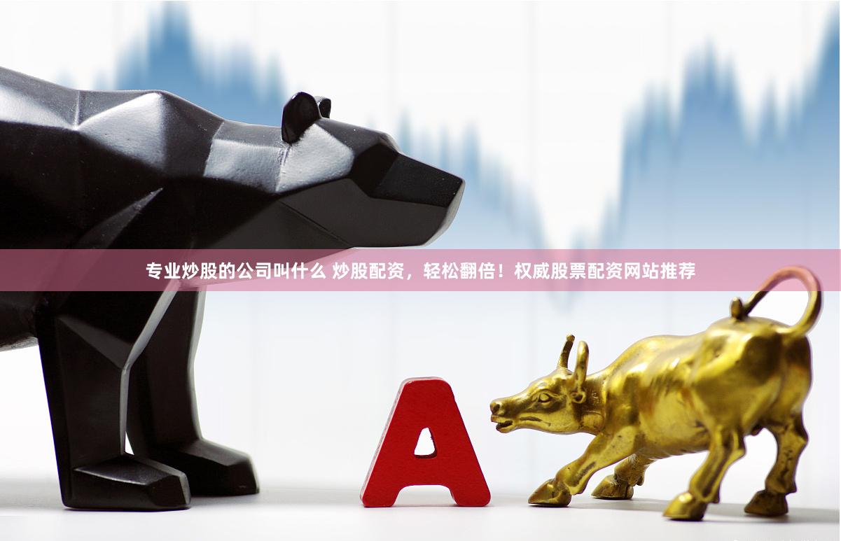 专业炒股的公司叫什么 炒股配资，轻松翻倍！权威股票配资网站推荐